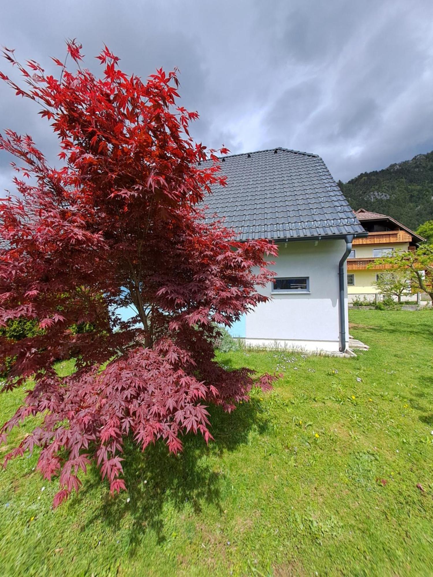 Apartment Bella Zirovnica